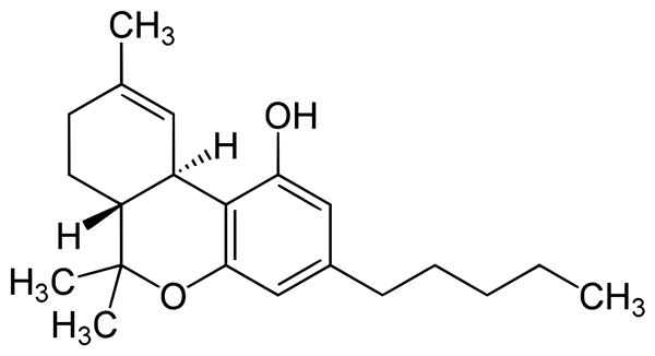 Schnell & Einfache Ultraschall-Cannabis-Extraktion